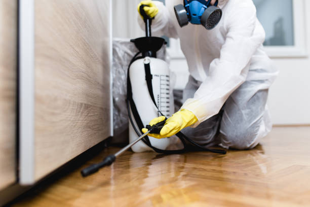 Best Bed Bug Extermination  in Glenshaw, PA