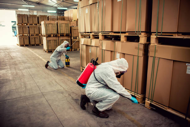 Reliable Glenshaw, PA Pest Control Solutions