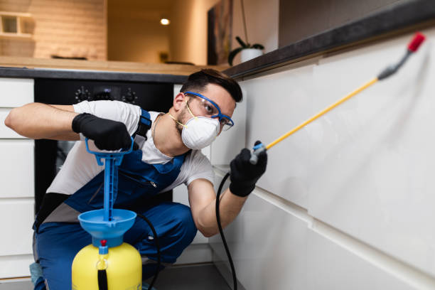 Best Affordable Pest Control Services  in Glenshaw, PA