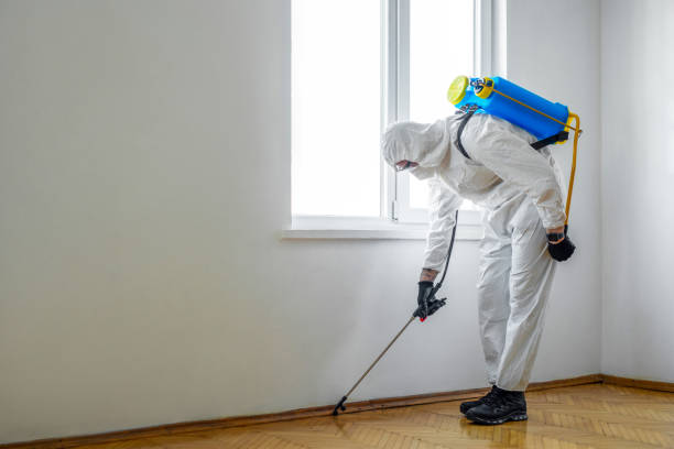 Best Flea Control Services  in Glenshaw, PA