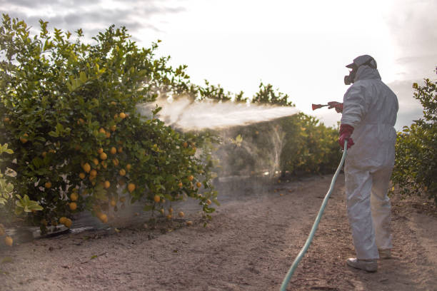 Best Pest Control Near Me in Glenshaw, PA