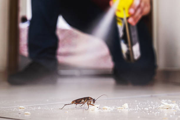 Best Commercial Pest Control Services  in Glenshaw, PA